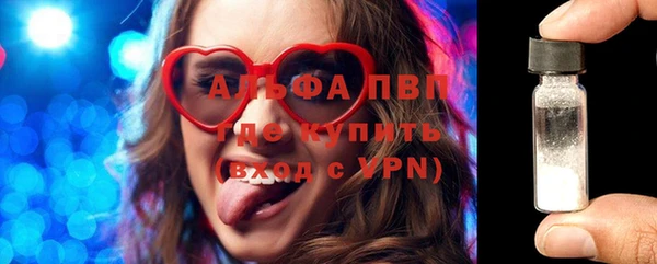 шишки Корсаков