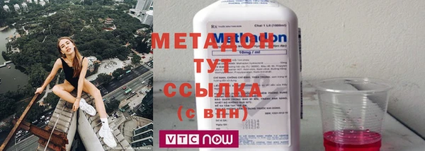 шишки Корсаков