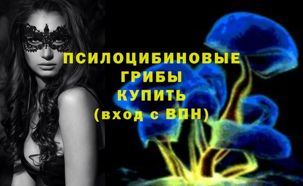ГАЛЛЮЦИНОГЕННЫЕ ГРИБЫ Краснослободск
