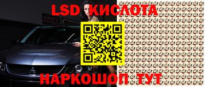 крисы Абакан