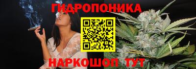 крисы Абакан