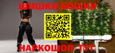 крисы Абакан