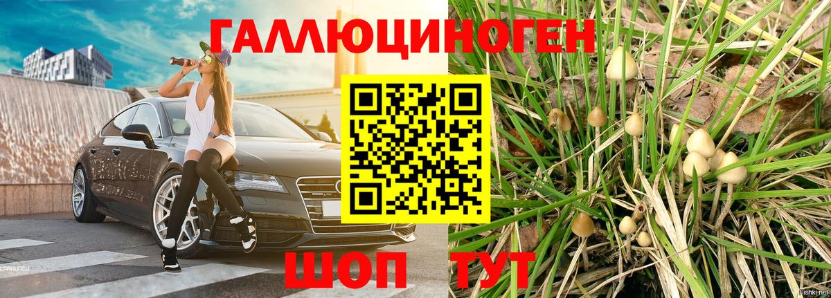 Галлюциногенные грибы GOLDEN TEACHER Нефтеюганск