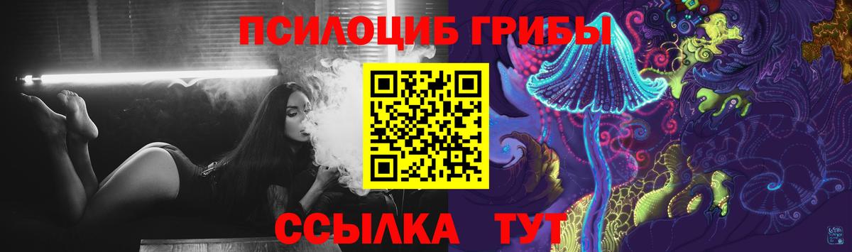 Галлюциногенные грибы Psilocybe  где найти наркотики  Нефтеюганск 